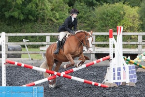 Class 3 -  Fences not above 2'3